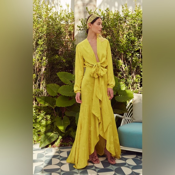 Sold! SILVIA Tcherassi Albarella V-neck Gown Size Small - Picture 12 of 13